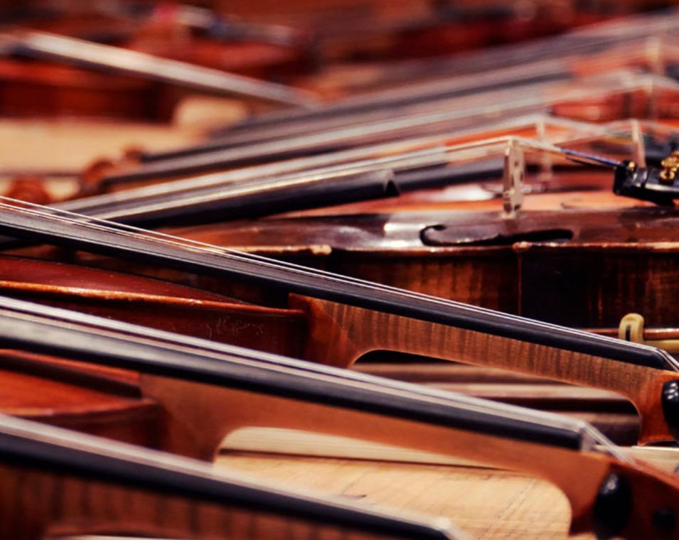 Etliche aufgereihte Geigen sind in Nahansicht zu sehen, so dass man die Saiten besonders wahrnimmt. 