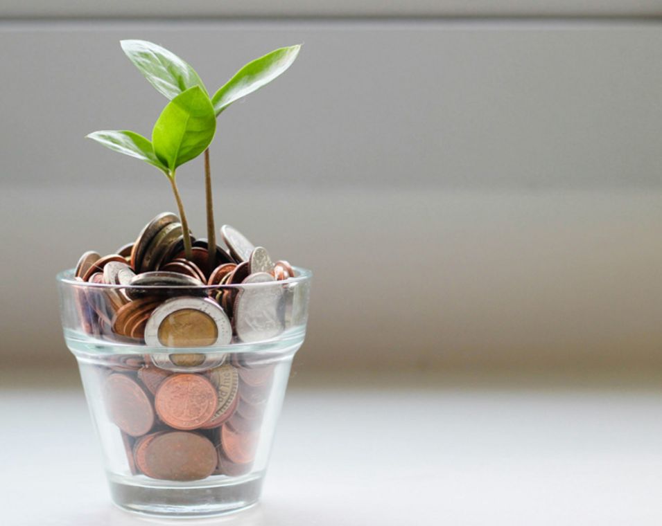 In einem Glas voller Geldmünzen wächst eine Pflanze. 