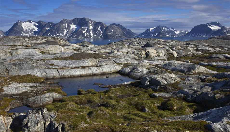 Das Foto zeigt eine Landschaft mit kargem Bewuchs und Bergen in Ostgrönland.