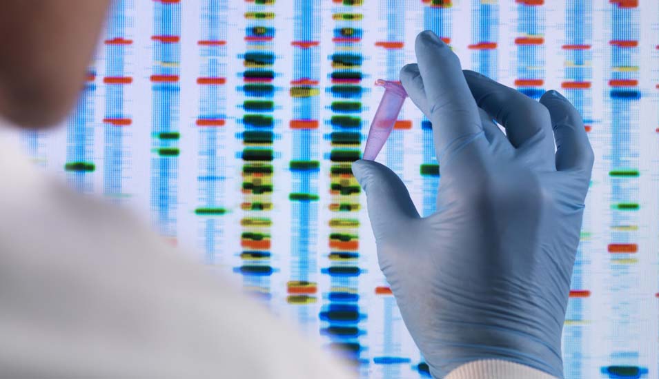 Forschender hält eine DNA-Probe vor einem Computerbildschirm mit Ergebnissen von DNA-Analysen