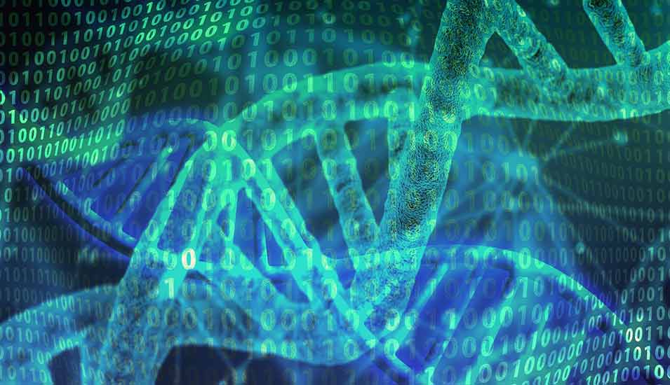Illustration einer DNA-Helix vor einer Matrix aus Einsen und Nullen