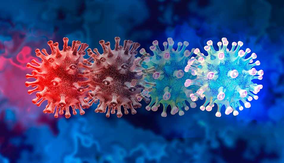 Illustration verschiedenfarbiger Coronaviren