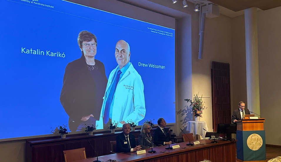 Ein Foto von der Pressekonferenz, wo die Medizinnobelpreisträger 2023 bekanntgegeben werden