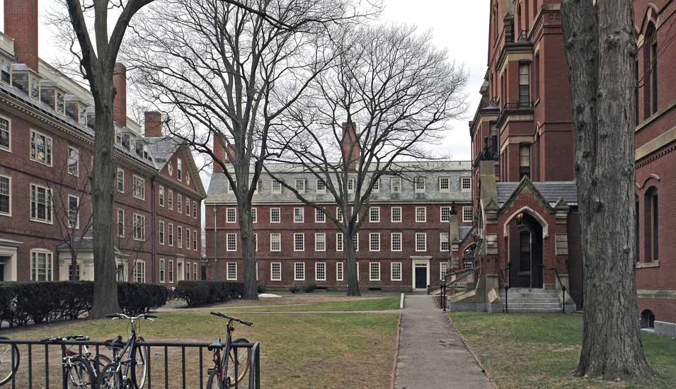 Die Harvard Universität in Cambridge mit kahlen Bäumen davor