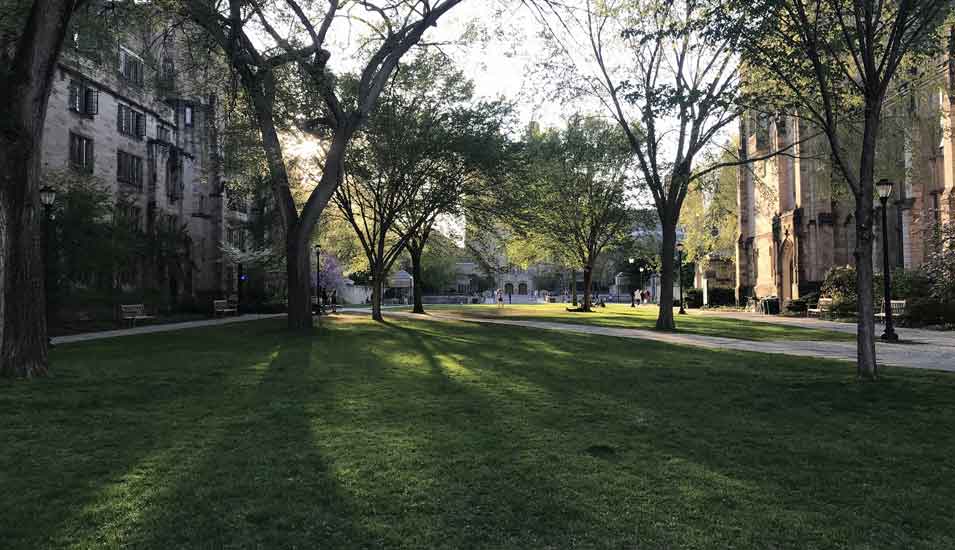 Das Foto zeigt den Campus der Universität Yale, USA.