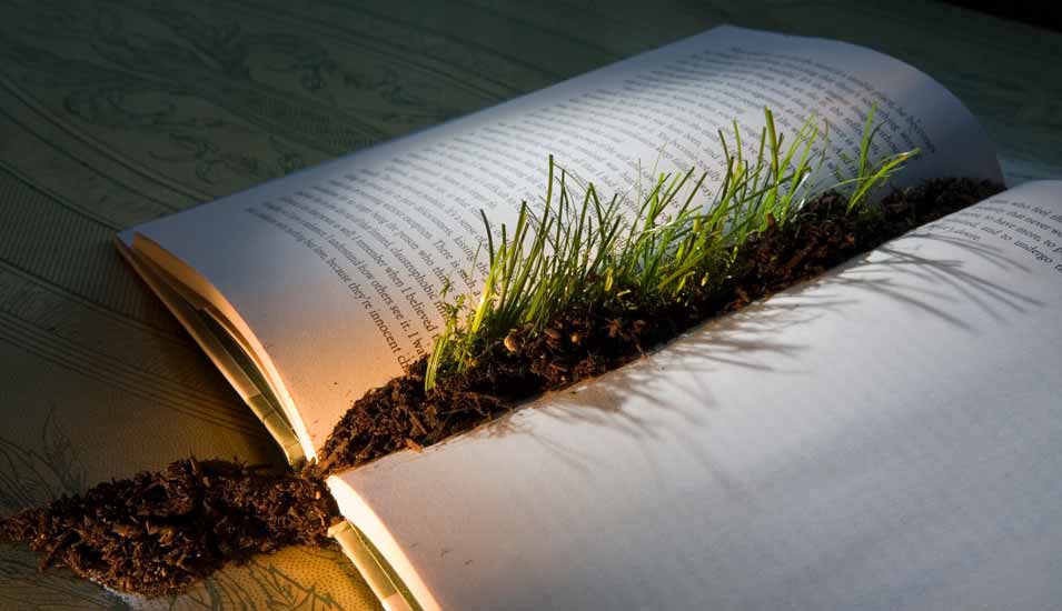 Symbolbild: Gras wächst aus der Mitte eines aufgeschlagenen Buches