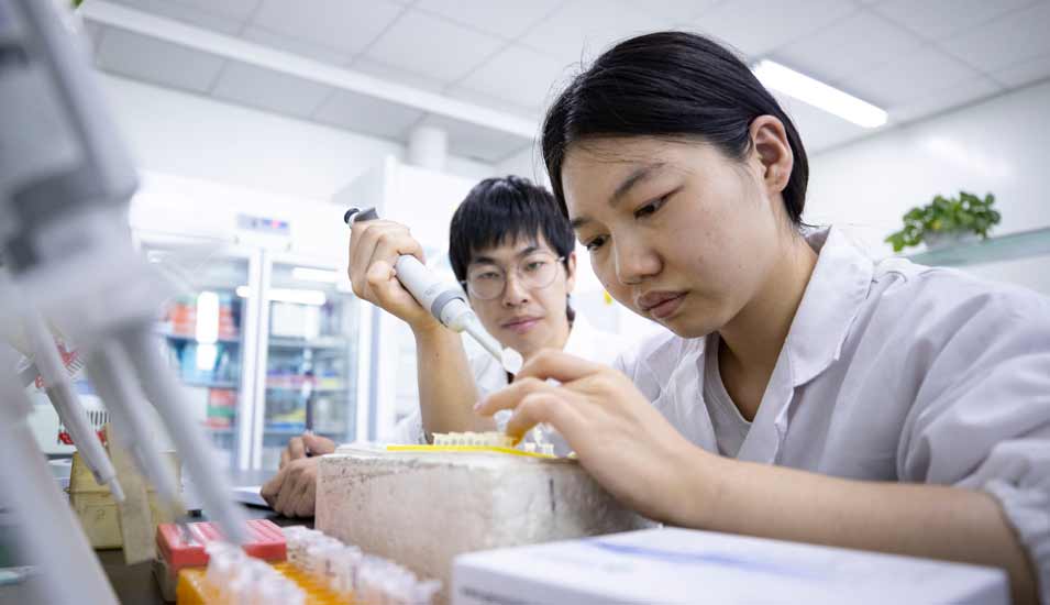 Zwei Studierende  in einem Labor der Ningxia-Universität in Yinchuan