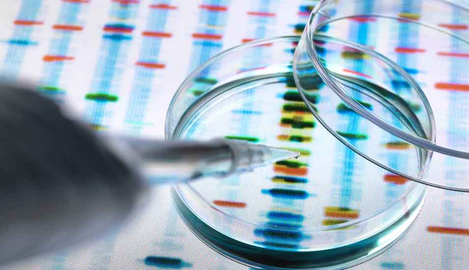Das Foto zeigt eine DNA-Sequenz unter der Lupe