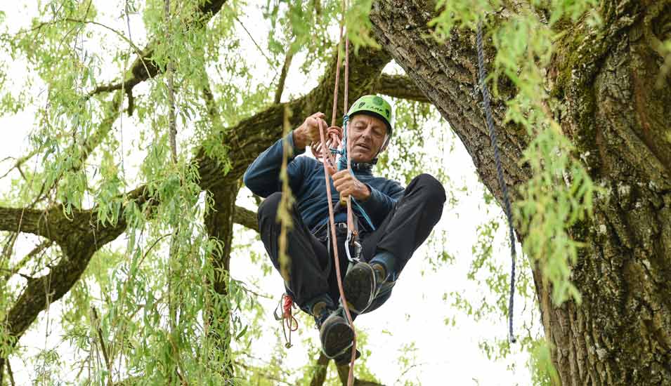 Bild von Prof. Wolfang Ertel mit Kletterausrüstung in einer Baumkrone
