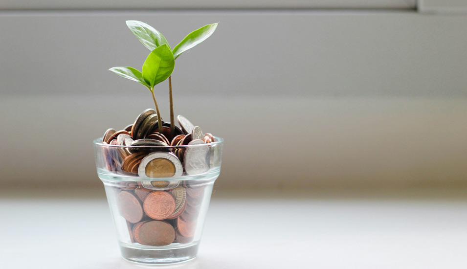 In einem Glas voller Geldmünzen wächst eine Pflanze. 