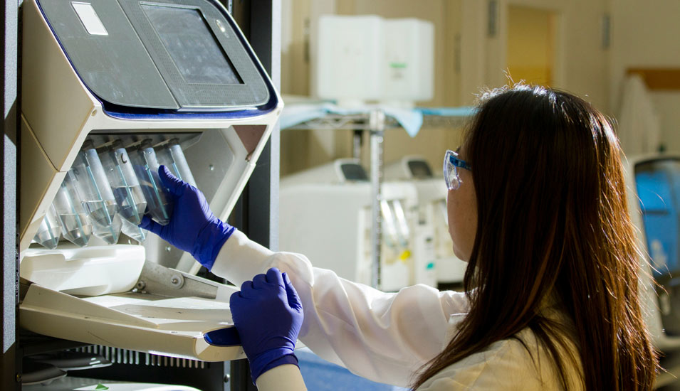 Eine Frau in weißem Kittel mit Gummihandschuhen arbeitet an einem biotechnischen Gerät mit Proben.