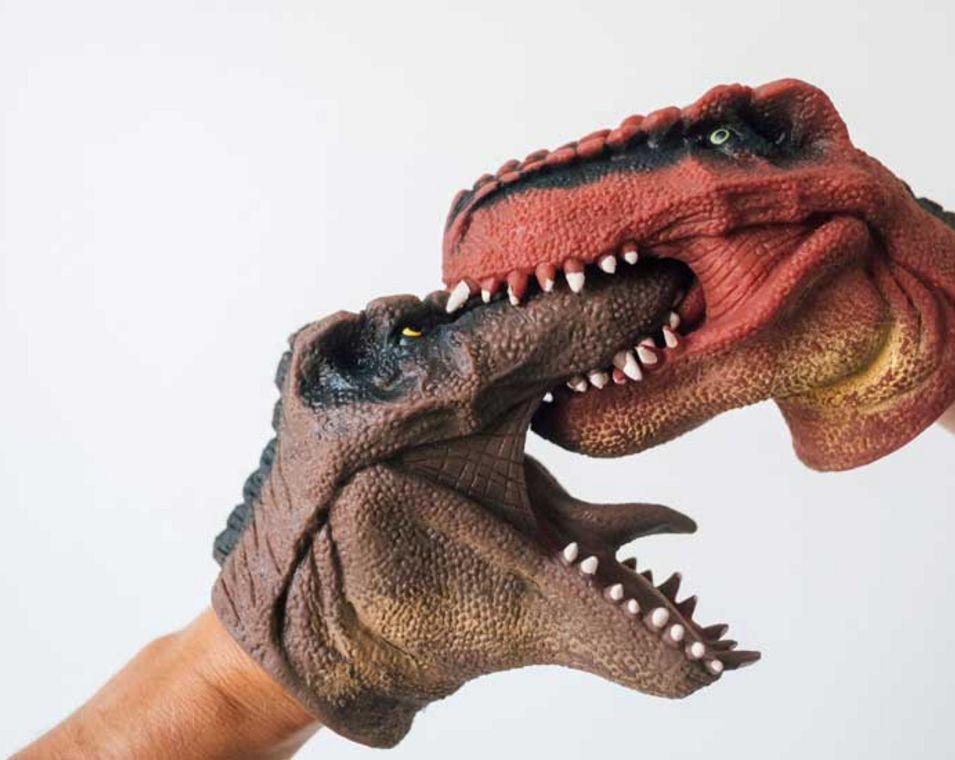 Das Foto zeigt zwei Dinosaurierhandpuppen im Kampf
