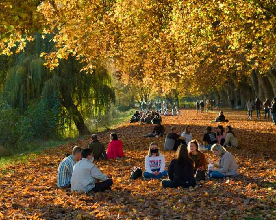 Studierende sitzen in einem Park auf dem Boden, einige tragen einen Mund-Nasen-Schutz.