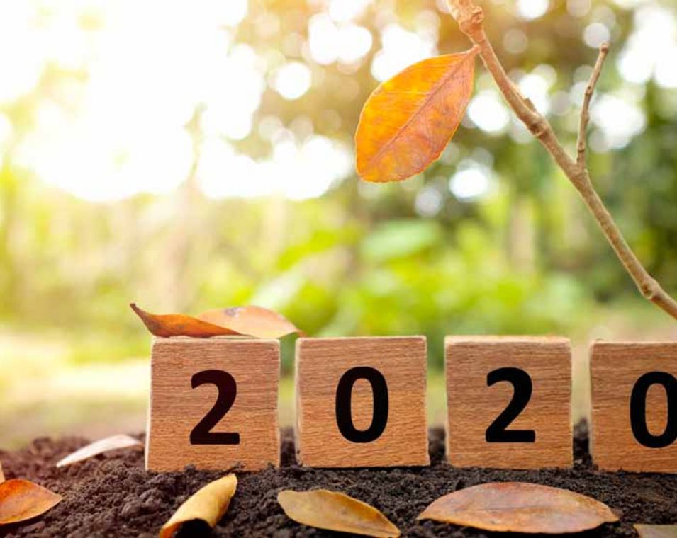Ein Ast mit einem einzigen verbleibenden letzten Blatt, das neben Holzblöcken mit der Aufschrift "2020" hängt.
