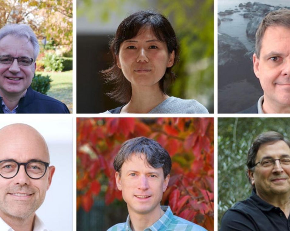 Portraitfotos der neuen Humboldt-Professorinnen und -Professoren