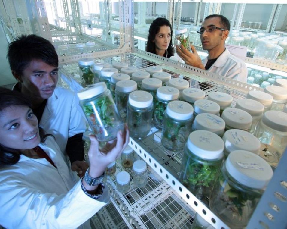 Das Bild zeigt eine diverse Gruppe von Forschenden im Labor.