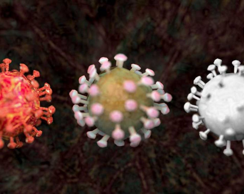 Grafik zeigt drei Varianten eines Coronavirus 