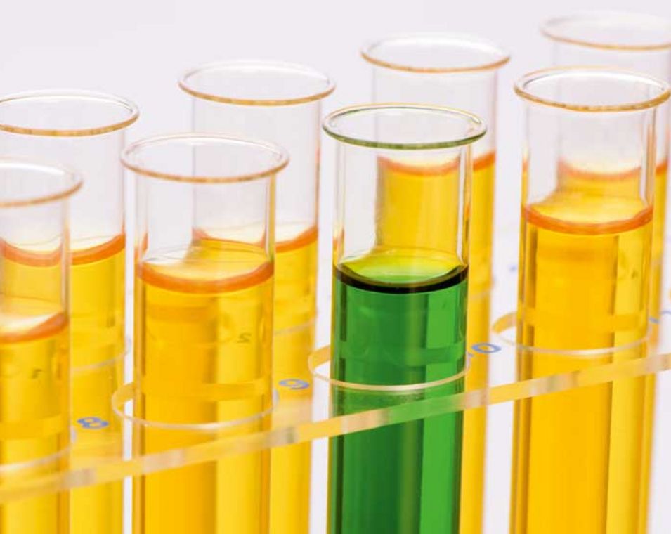 Das Foto zeigt eine Reihe mit Reagenzgläsern, die mit gelber und eines mit grüner Flüssigkeit gefüllt sind
