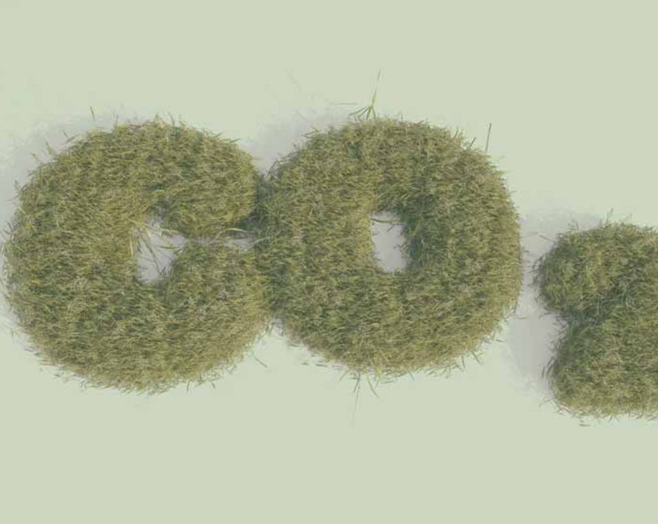 Schriftzug "CO2" in Form eines Gebüschs