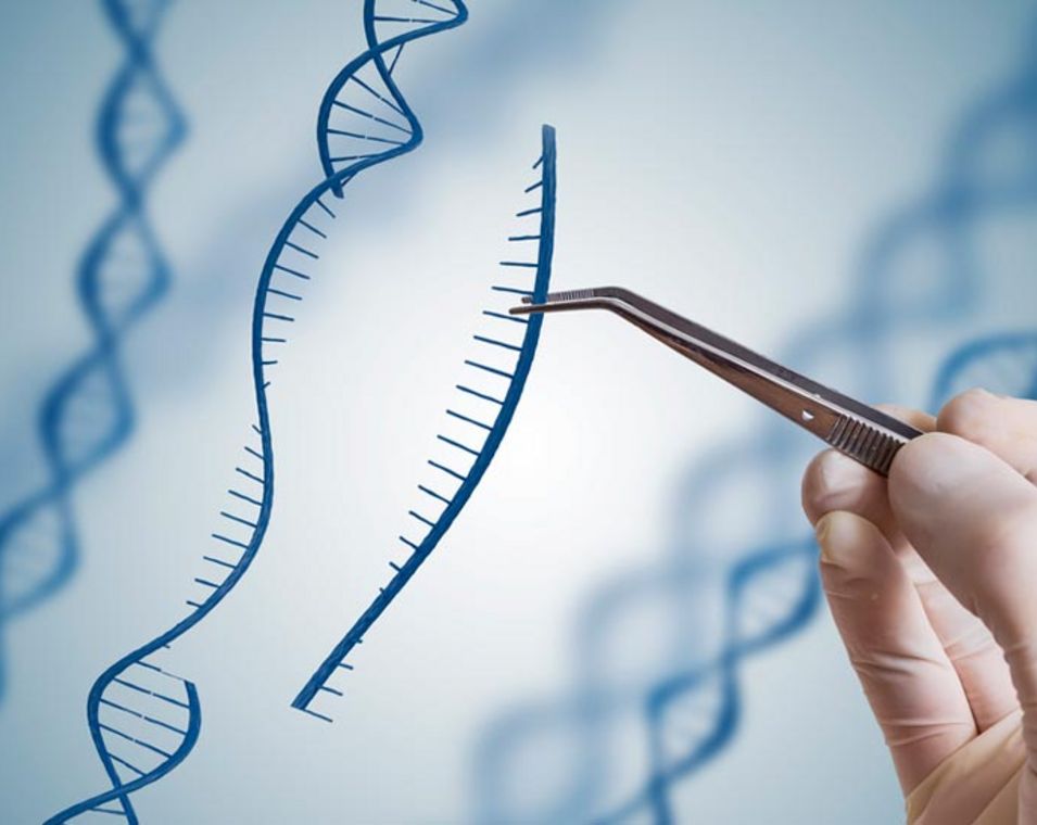 Illustration Eingriff in DNA