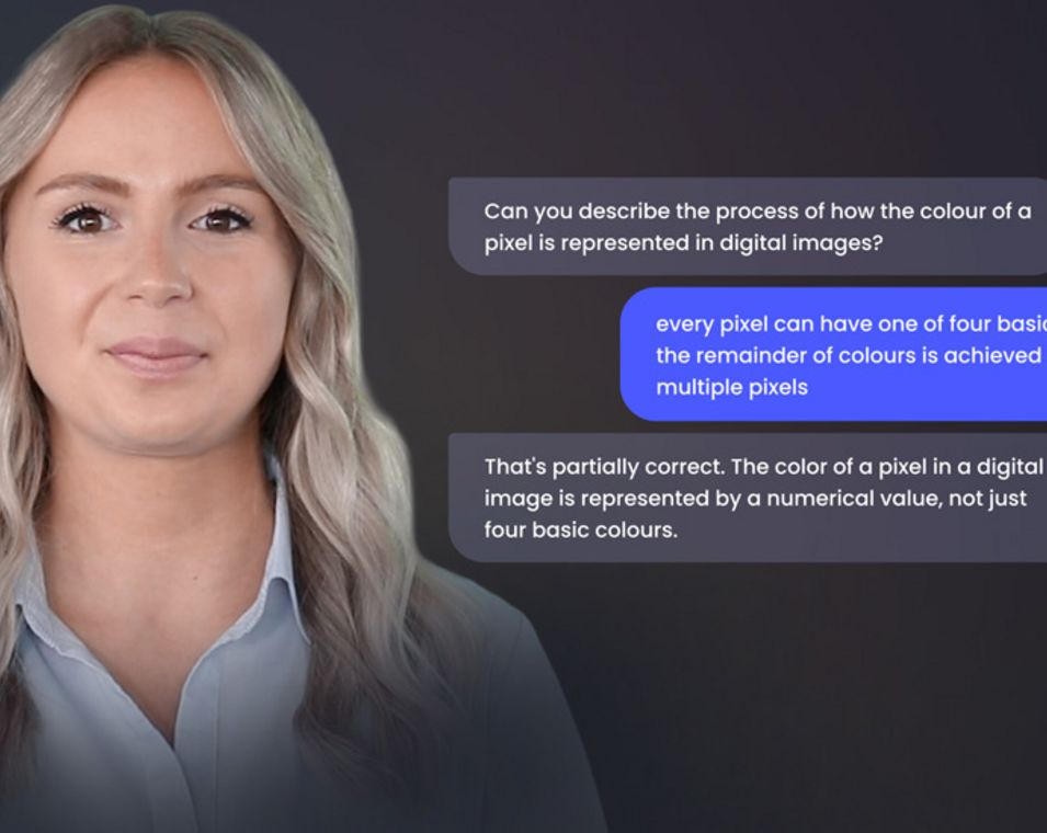 Das Porträt einer blonden, jungen Frau ist links neben einem typischen Chat-Dialog zu sehen, in welchem es um die Erklärung von Pixeln geht. 