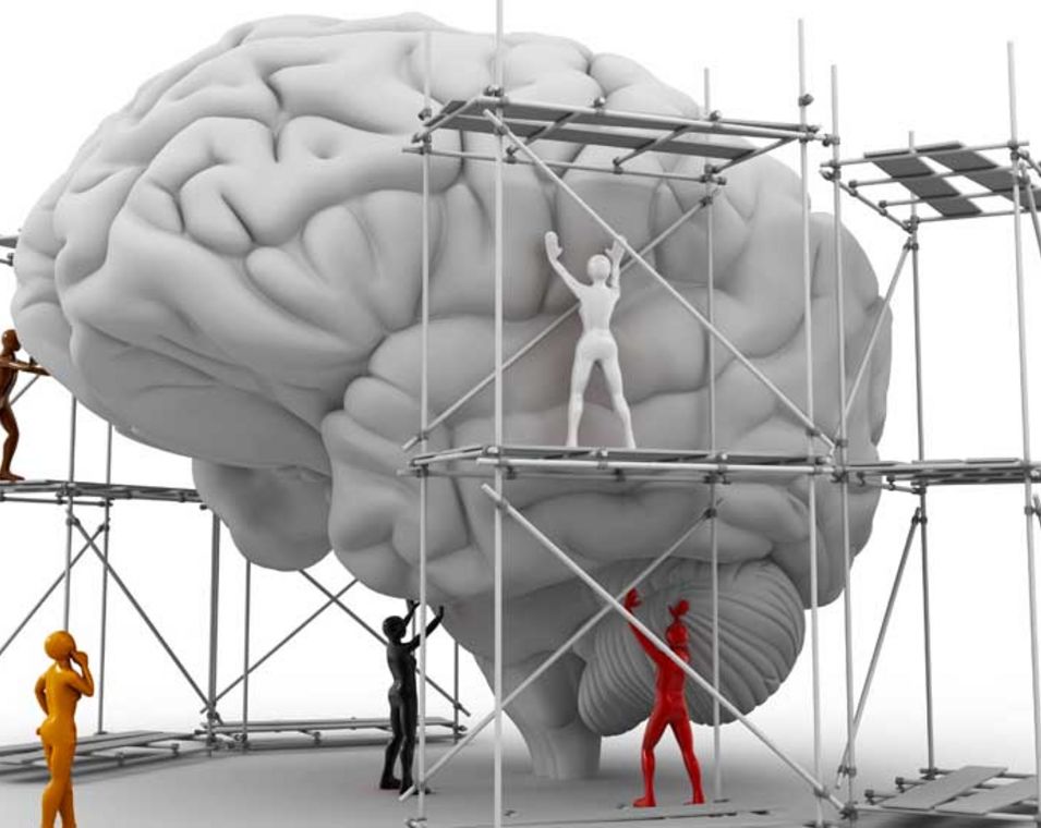 Illustration eines menschlichen Gehirns mit einem Baustellengerüst und Figuren, die es stützen und betrachten