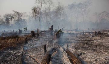 abgebrannte Waldfläche im Amazonasgebiet in Bolivien