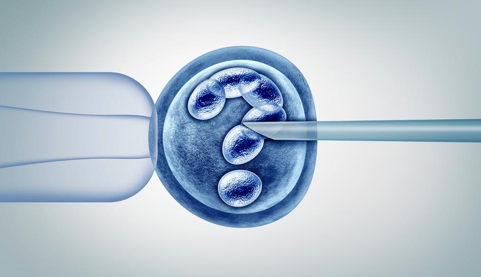 Symbolbild einer in vitro Fertilisation: Pipette und mehrfach befruchtete Eizelle