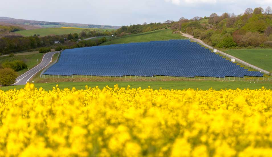 Das Foto zeigt eine landwirtschaftliche Fläche mit Solarzellen