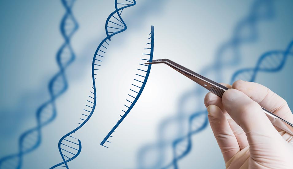 Illustration Eingriff in DNA