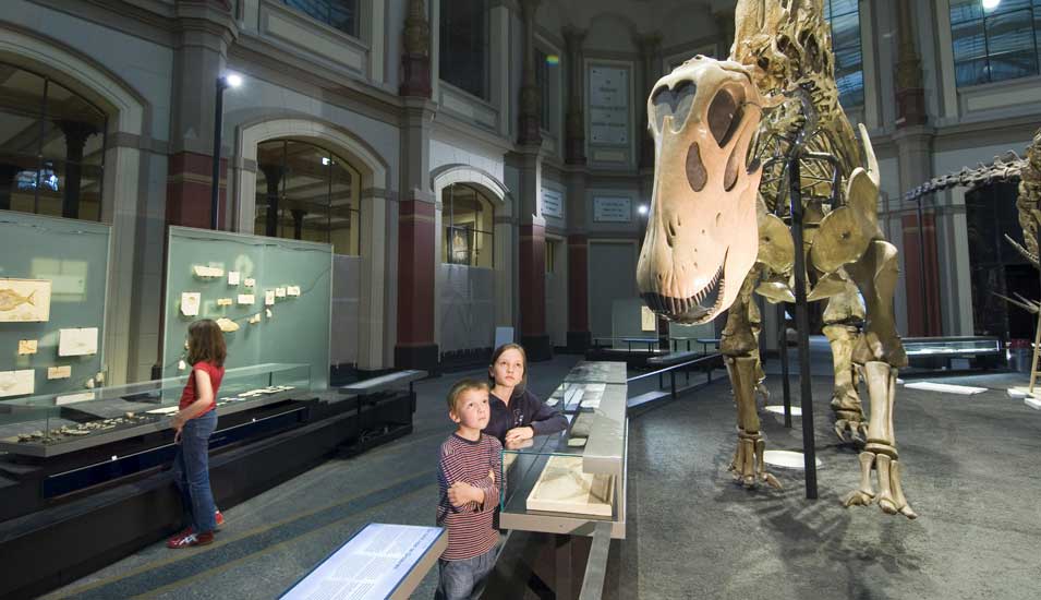 Das Foto zeigt Kinder im neu gestalteten Dinosauriersaal des Naturkundemuseums Berlin.