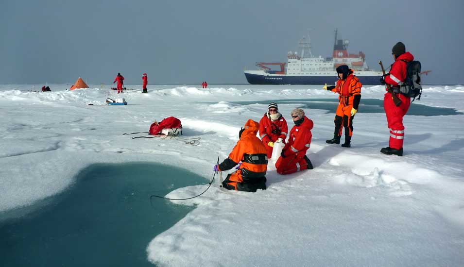 Das Foto zeigt Forscher des Alfred-Wegener-Instituts an einem Schmelztümpel in der Arktis.