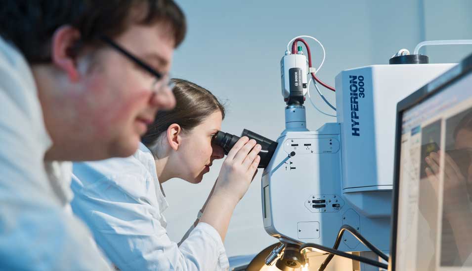 Das Foto zeigt zwei Forscher, die am Mikroskop eine Meerwasserprobe untersuchen.