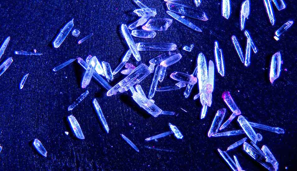 Das Foto zeigt Gipskristalle unter dem Mikroskop. 