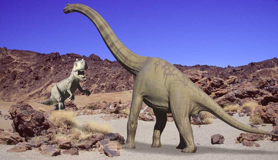 Das Foto zeigt einen Brachiosaurier, der von einem Tyrannosaurus angegriffen wird. 