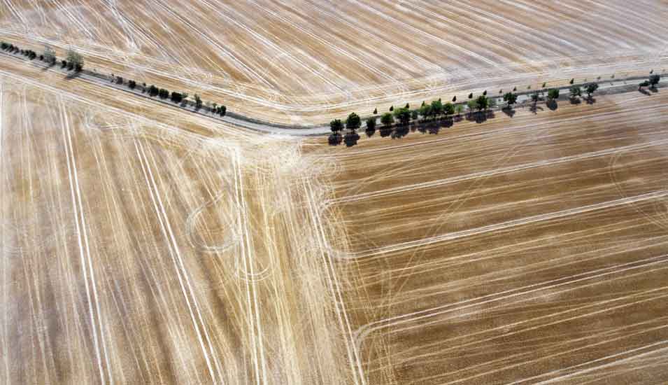Das Foto zeigt ein Luftbild von abgeernteten und ausgetrockneten Feldern.