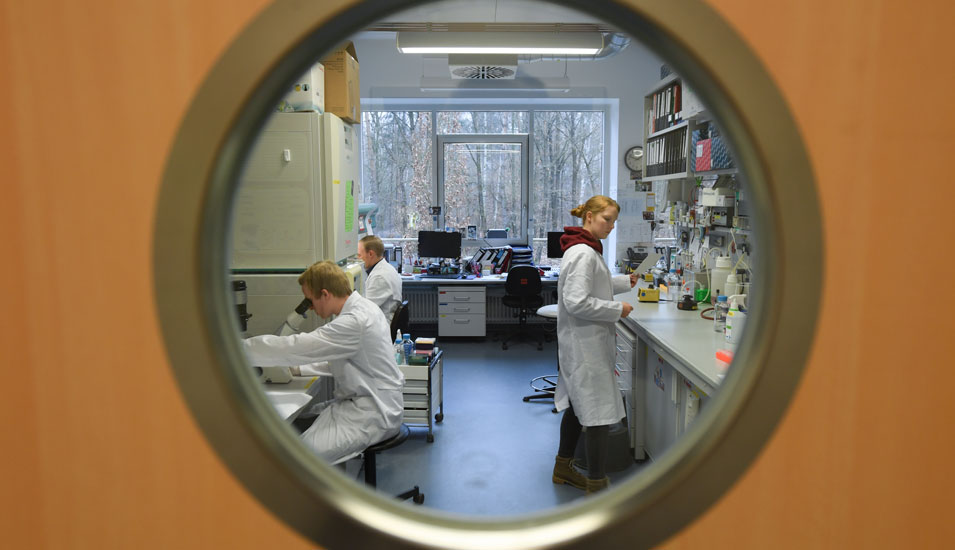 Mitarbeiter des Instituts für Virologie der Philipps-Universität Marburg