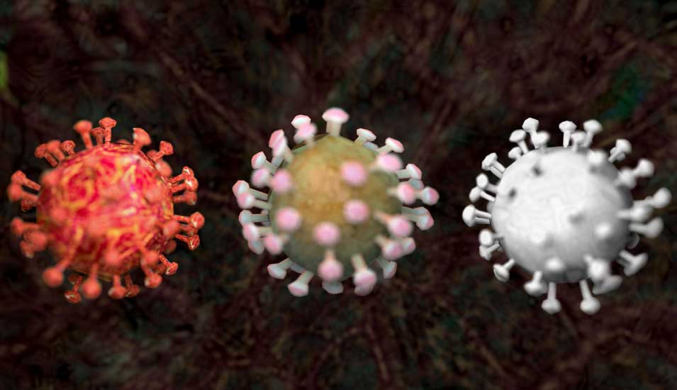 Grafik zeigt drei Varianten eines Coronavirus 