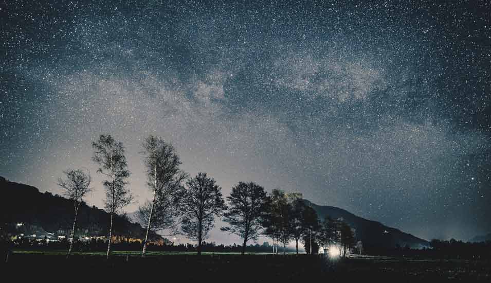 die Milchstrasse bei sternenklarem Nachthimmel vor einer Baumlandschaft