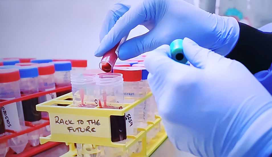 Mitarbeiter arbeitet an Rack mit Blutproben in einem Labor
