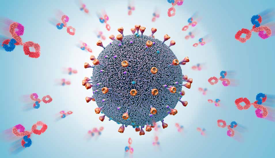 Farbige 3D-Illustration von Antikörpern, die ein Virus attackieren