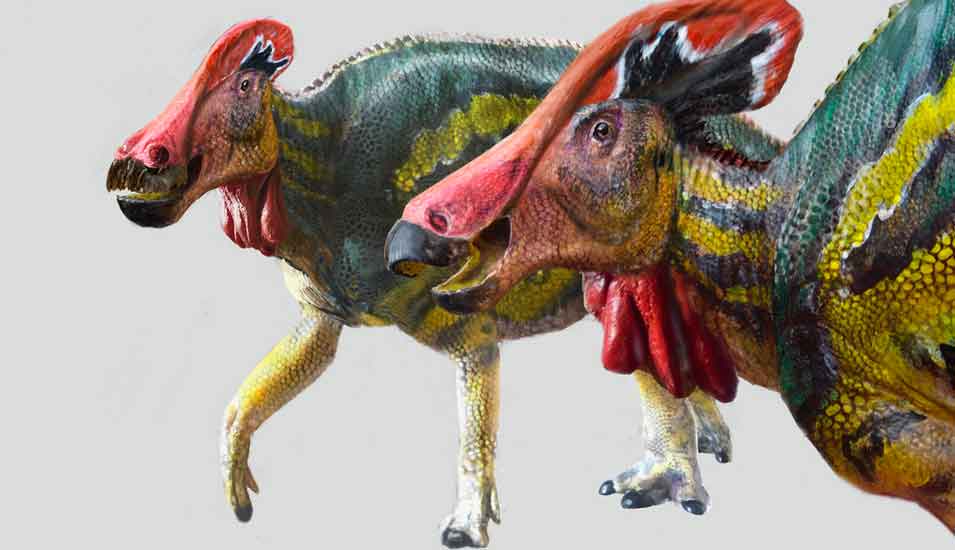 Illustration zweier Dinosaurier der Gattung Tlatolophus.