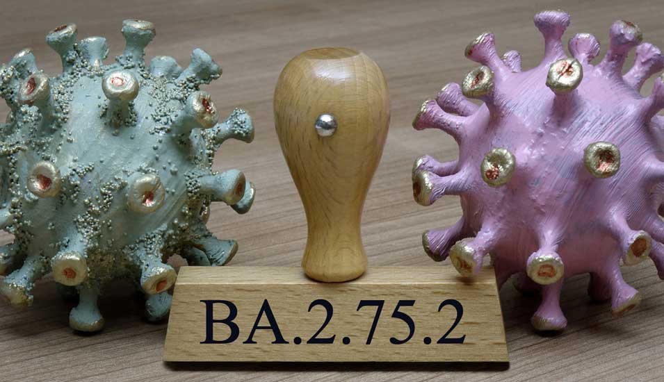 Modelle von Coronaviren, daneben ein Stempel mit der Beschriftung "BA.2.75.2"