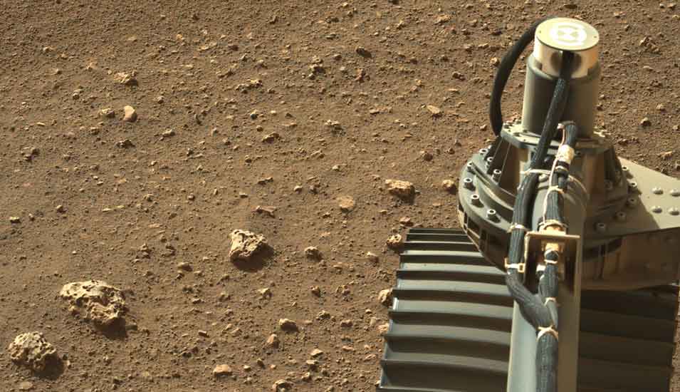 Diese Aufnahme hat Perseverance von sich selbst auf dem Mars gemacht: Mas sieht steinigen Boden und ein Stück des Rovers selbst.