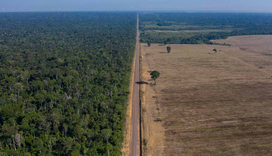 eine Straße trennt ein Waldstück von einem Sojafeld in Brasilien