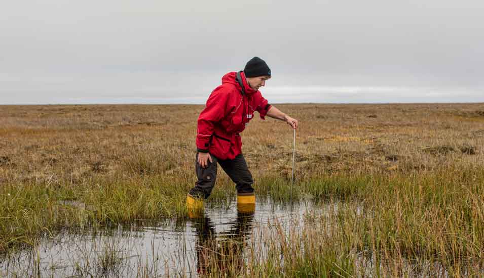 Ein Mitglied des AWI-Forschungsteam bei der Messung der Tiefe des nichtgefrorenen Permafrosts unter einem Tümpel in Sibirien.