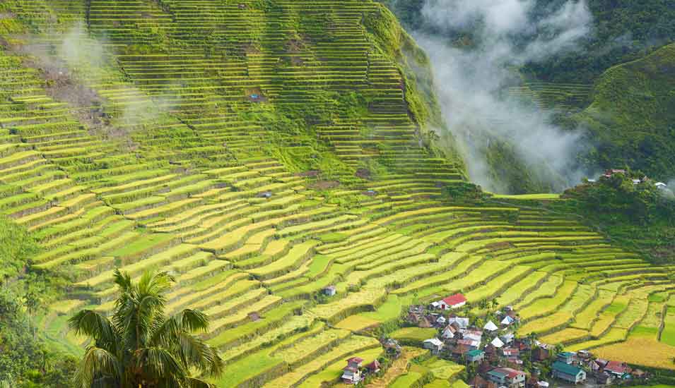 Reisterrassen auf den Philippinen