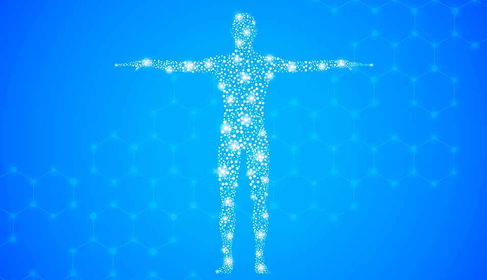 Illustration eines menschlichen Körpers, der aus vielen einzelnen Zellen besteht, die miteinander vernetzt sind
