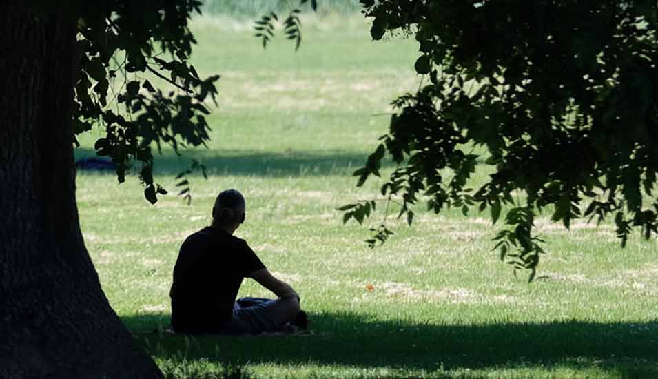 Ein Mann sitzt in einem Park im Schatten eines Baumes.