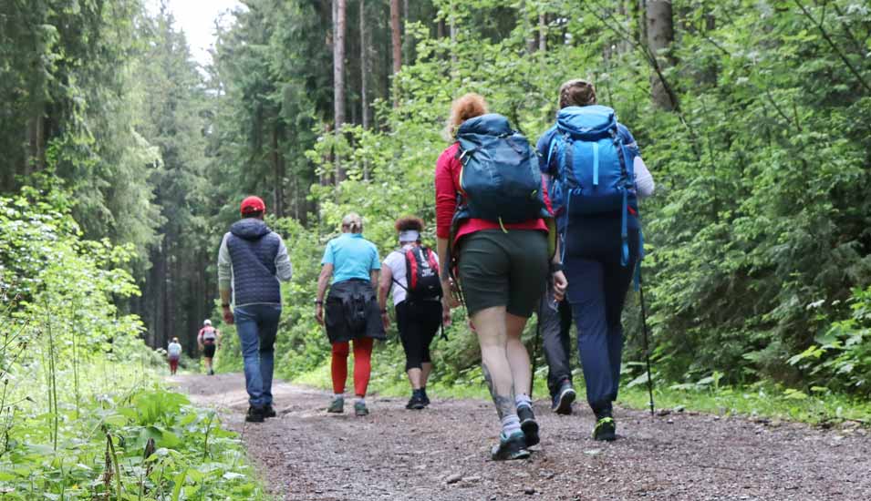 Mehrere Menschen auf einem Test-Wanderweg in einem Wald im Salzburger Land.